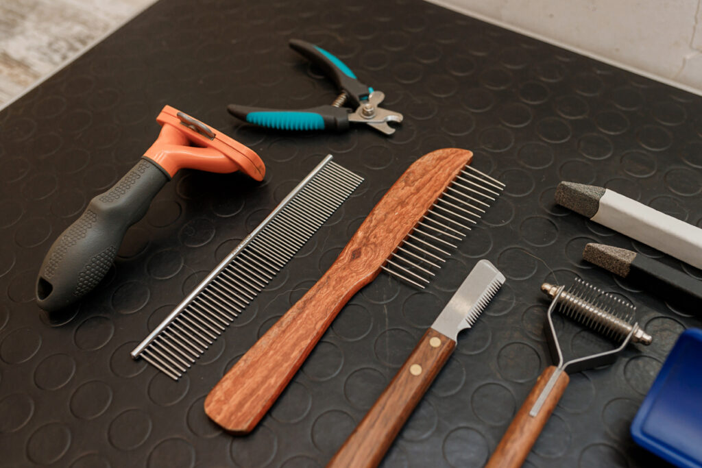 Uncovering the Secrets of Silver German Shepherds Silver Mountain Shepherds